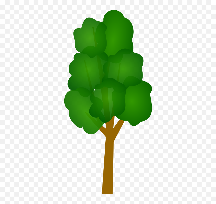 Transparent Tree Vector - Vector Tree Icon Png,Tree Symbol Png
