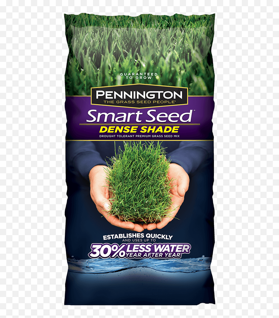Premium Grass Seed For Home Lawns - Pennington Shade Grass Seed Png,Grass Top View Png