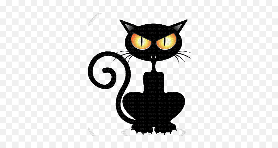 Cat Chat Katze Gif Halloween Black Anime Animated Image - Chat Noir Gif Animé Png,Halloween Gif Transparent