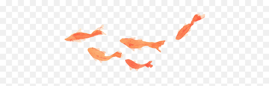 Png V28 Pictures House - P,Koi Fish Png