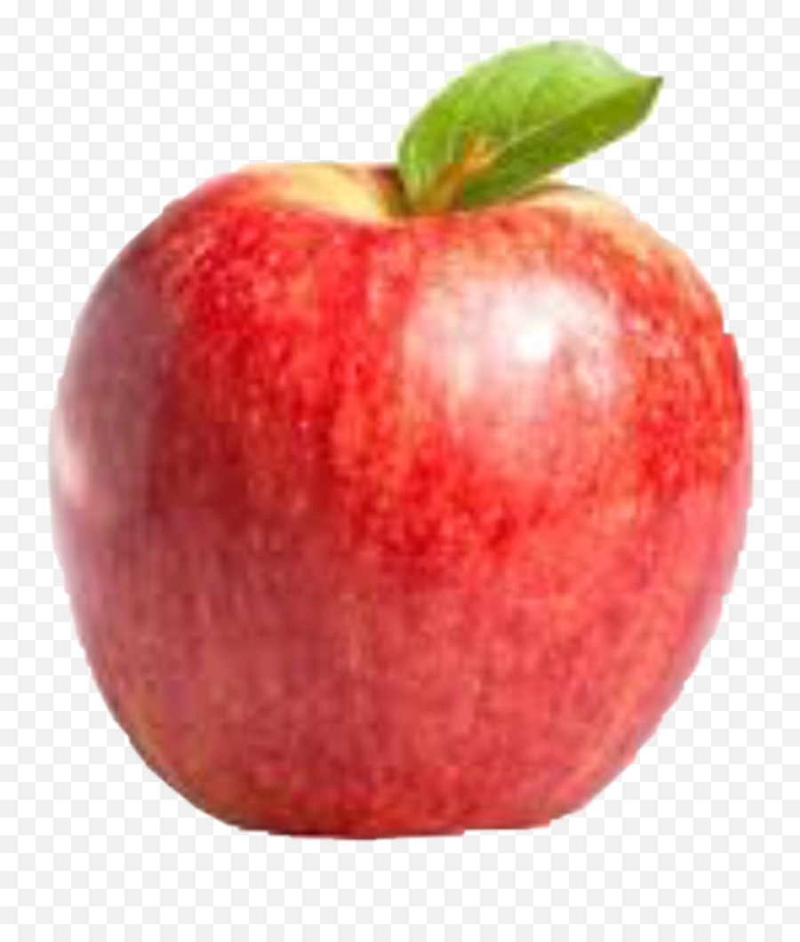 Manzana Freetoedit - Sticker By Xxholaxx Äpple Png,Manzana Png