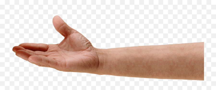 Download Human Hand Png - Transparent Png Png Images Hand Reaching Down Png,Skeleton Hand Png