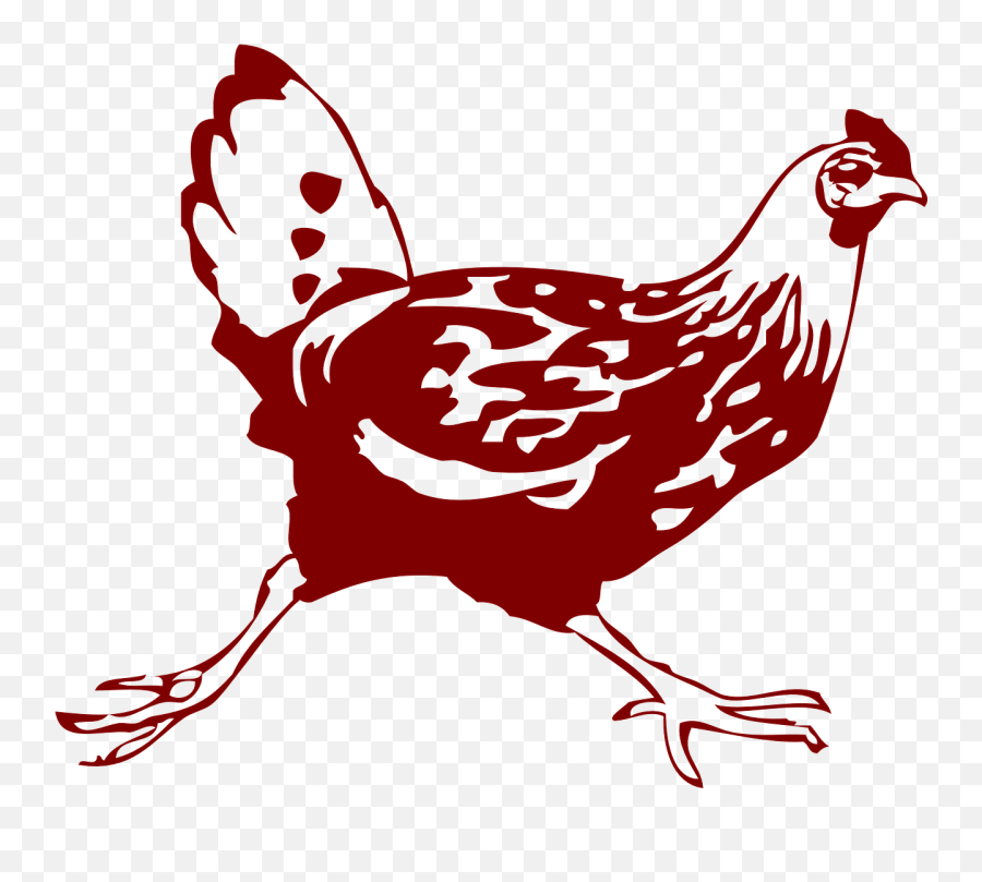 Chicken Hen Running - Free Vector Graphic On Pixabay Chicken Running Png,Chicken Leg Png