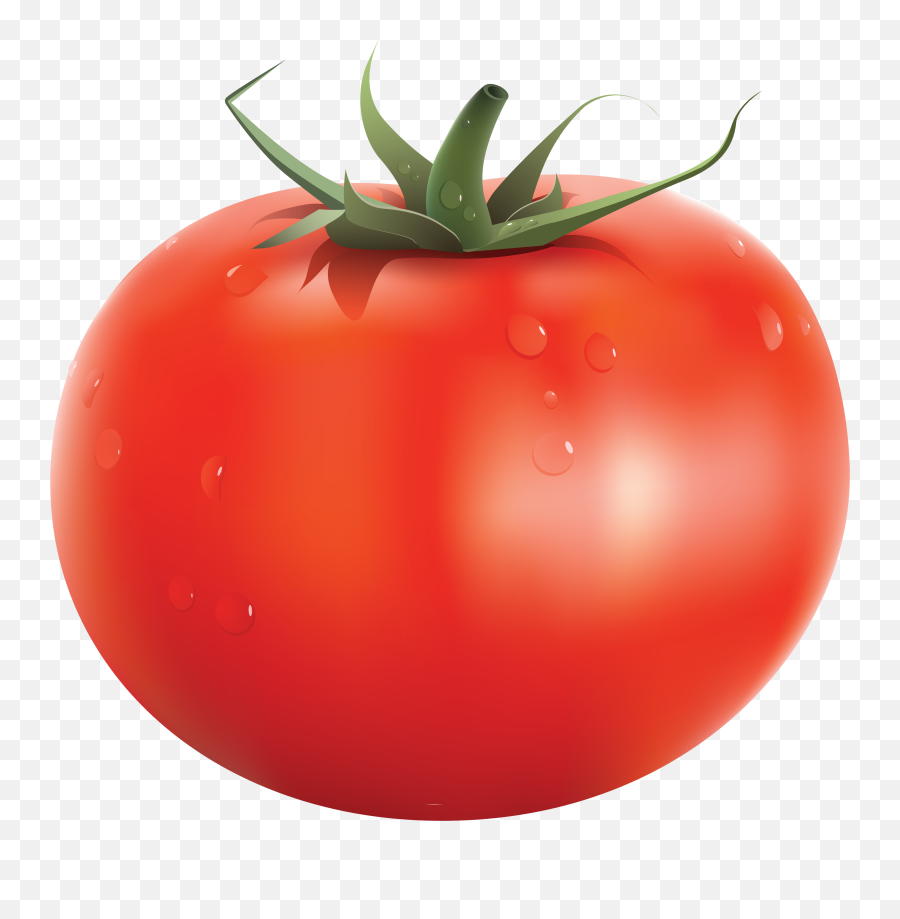 Tomato Png Images Free Download - Tomato Clipart Png,Tomato Png