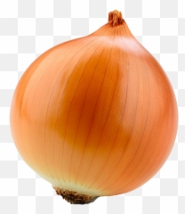 Onion Transparent File - png