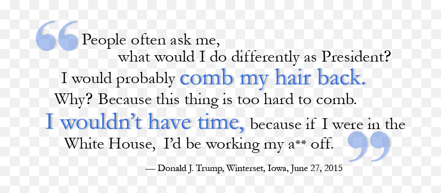 Trump In Washington U2013 Francis Patrick Ubertelli - Screenshot Png,Trump Hair Png