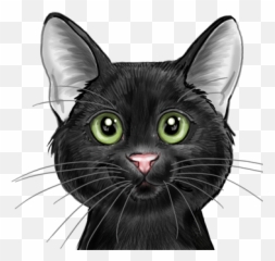 Big Cat Designs - Black Cat Png,Cat Face Png