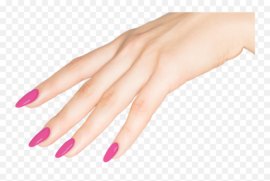 Tasmania Beauty - Hand Png,Nail Png