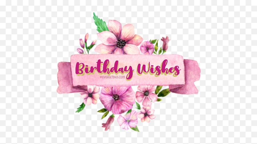 Happy Birthday - Floral Stickers Perfect For Whatsapp Whatsapp Sticker Happy Birthday Png,Watercolor Flowers Transparent Background