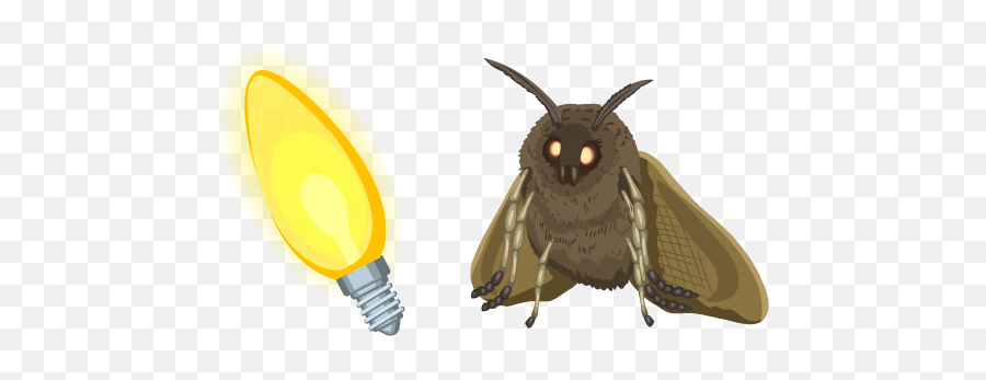 Moth Lamp Meme Cursor U2013 Custom Browser Extension - Moth Meme Png Transparent,Meme Png Transparent