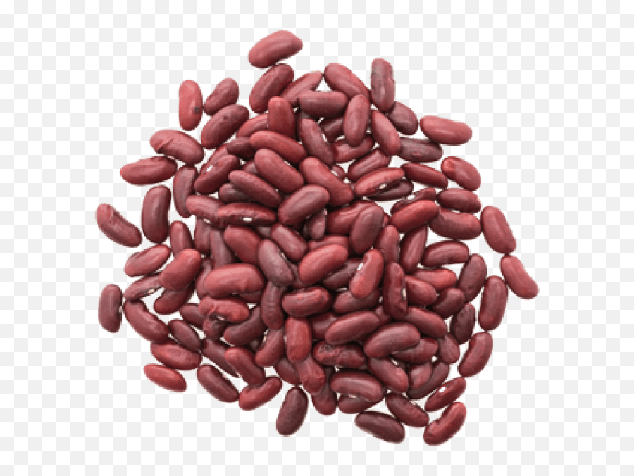 Download Free Png Kidney Beans Images Transparent - Kidney Bean,Beans Transparent