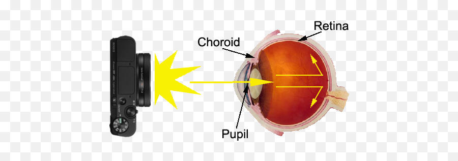 How To Get Rid Of Red Eyes In Photos Without Photoshop - Fibrous Layer Of Clear Tissue Over The Front Of Png,Devil Eyes Png