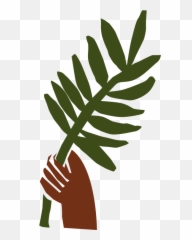 Palm Leaf Clip Art Free - Hand Holding 443x792 Sunday png