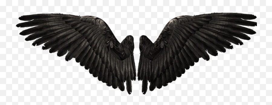 Wings Png Art Demon - Devil Wings Png,Devil Wings Png