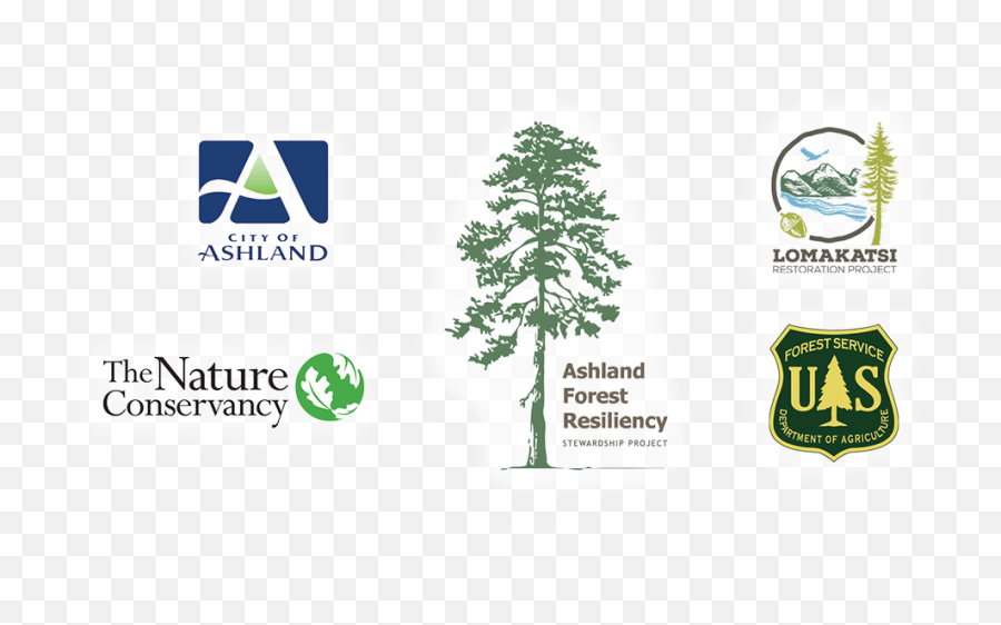 About Ashland Forest Resiliency Project Blog - Vertical Png,The Nature Conservancy Logo