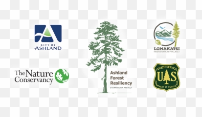 About Ashland Forest Resiliency Project Blog - Vertical png