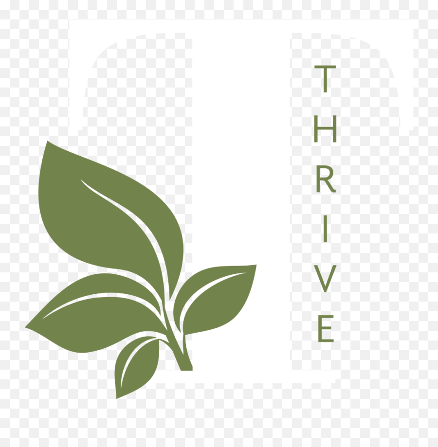 Immigration Evaluations U2014 Thrive Therapy Collective - Vertical Png,Immigration Icon