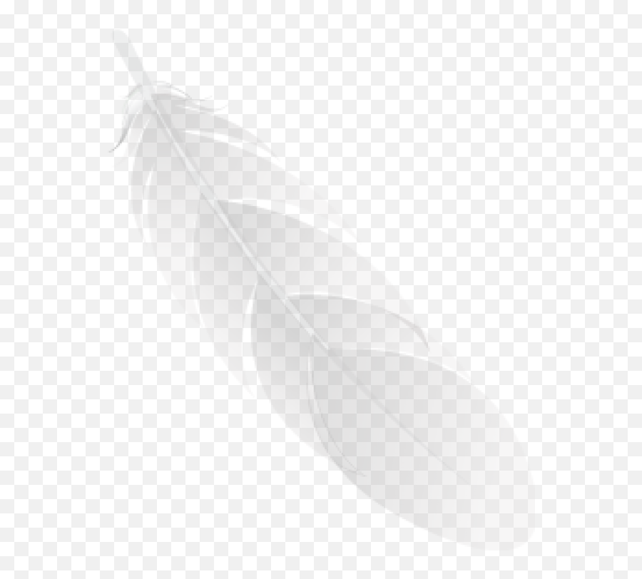 Feather Black Icon Png Image Images Download - Solid,Feather Icon Vector