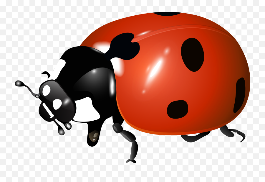 Ladybug Clipart Scripture - Png Download Full Size Clipart Ladybird Beetle,Scripture Png