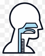 Other Cancer Types Linked To Prolonged Asbestos Exposure - Hard png