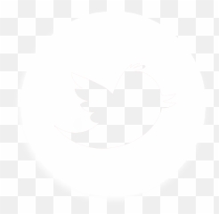 Love Center Church Orlando - Twitter Logo Clipart png