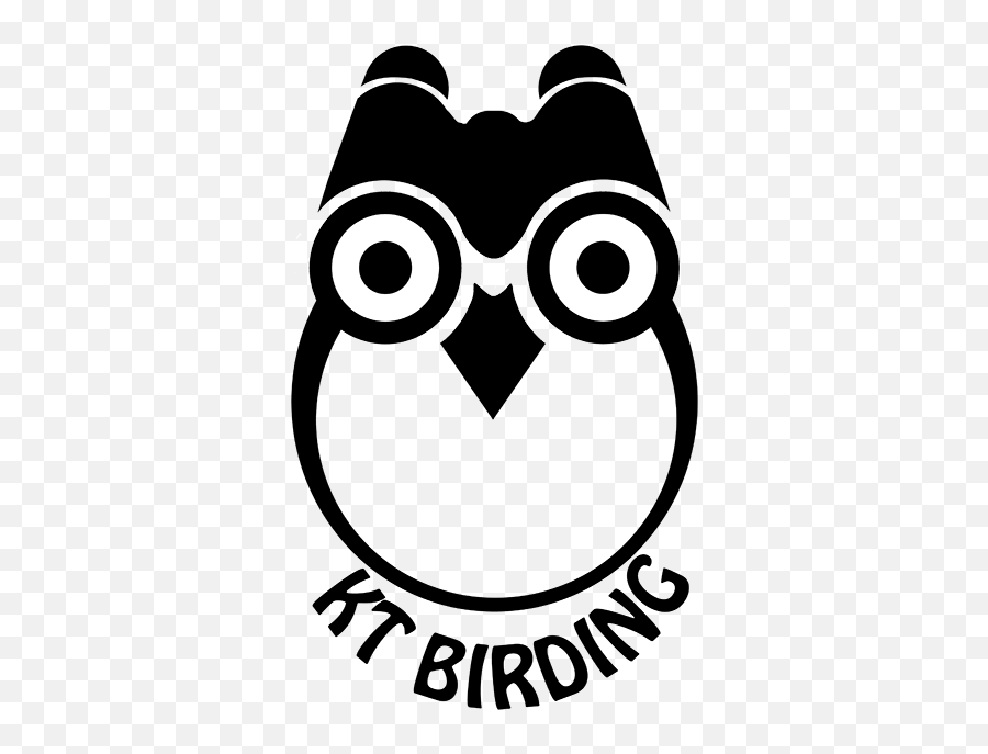 Kelly Tan Web Developer Graphic - Cartoon Png,Owl Eyes Logo