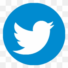 Registration Fundamental In Biometry - Twitter Logo Png
