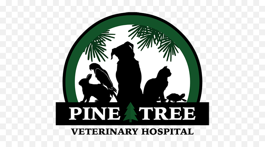 Pine Tree Veterinary Hospital Pllc Better Business Bureau - Silhouette Png,Pine Tree Logo