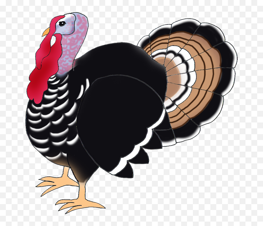 Library Of Thanksgiving Turkey Banner Royalty Free Download - Turkey Bird Hd Png,Turkey Clipart Transparent Background