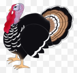 Library Of Thanksgiving Turkey Banner Royalty Free Download - Turkey Bird Hd Png