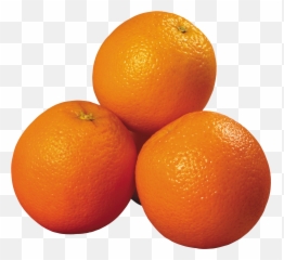 Citrus Mandarin Orange Fruit Rangpur - Oranges Png,Clementine Png