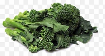 Broccoli Png Transparent File Mart