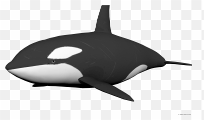 Download Clipartblack Com Animal Free - Cute Orca Transparent Background Png,Whale Clipart Png
