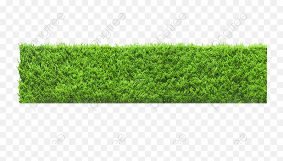 Plants Clipart Green Wall Png - Green Wall Png,Green Wall Png