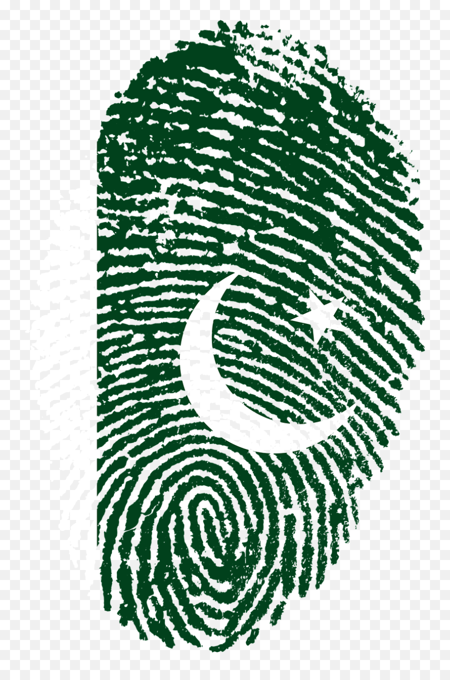Pakistan Flag Fingerprint - Challenges To Digital India Png,Thumbprint Png