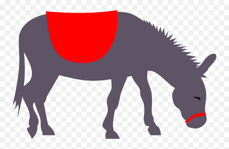Donkey Png Image Archives - Free Transparent Png Images Donkey Clipart,Donkey Png