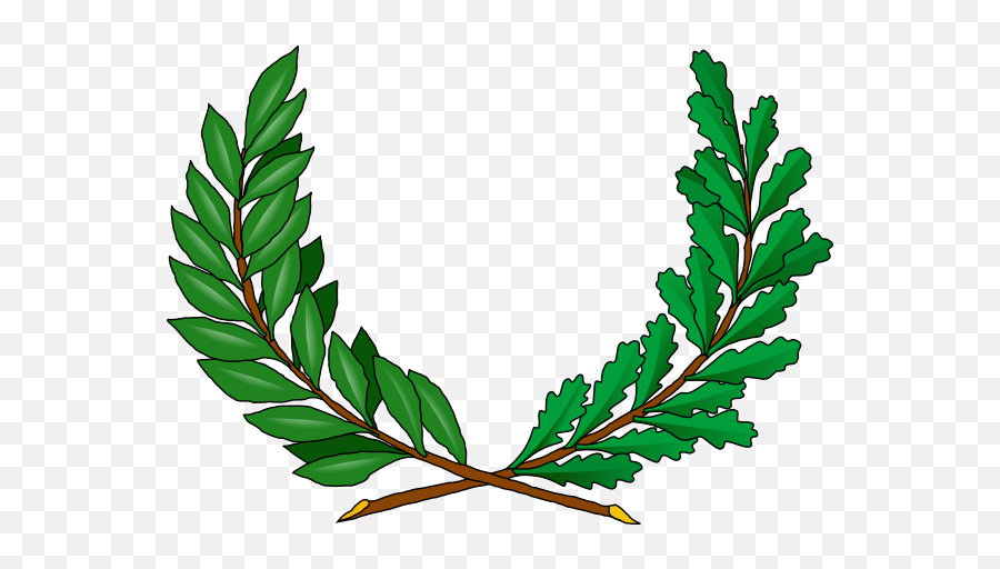 Jungle Vines Png Transparent Images All - Coat Of Arms Leaves Png,Vines  Transparent - free transparent png images 