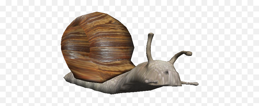 Snail Impossible Creatures Game Wiki Fandom - Lymnaeidae Png,Snail Png