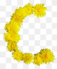 Blumen - C png