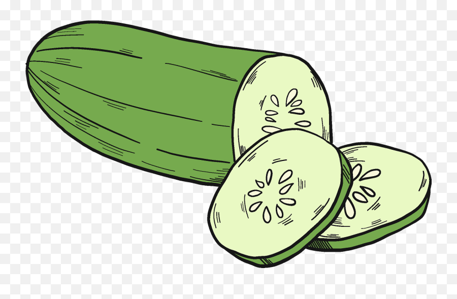 Cut Cucumber Clipart - Cucumber Clipart Png,Cucumber Transparent