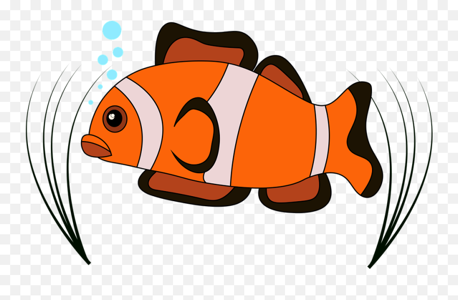 Clown Fish Vector - Free Vector Graphic On Pixabay Ikan Vektor Png,Clownfish Png