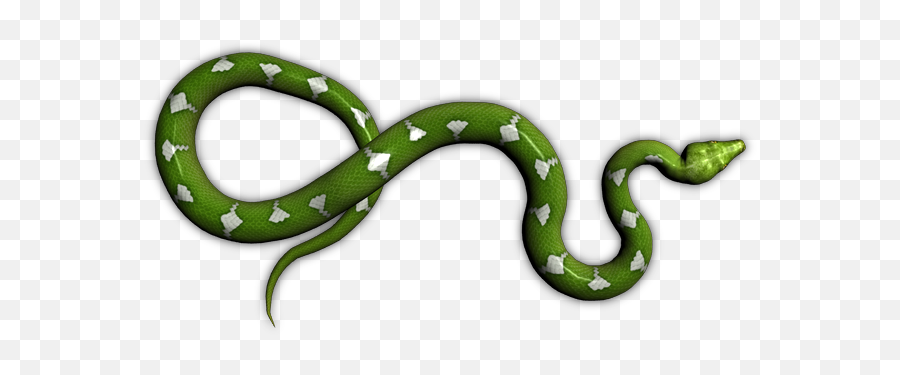 Index Of Mappingobjectsanimalssnakes - Transparent Green Snake Png,Snakes Png