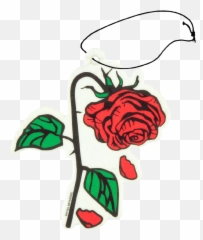 Petals Rose Air Freshener - Floral png