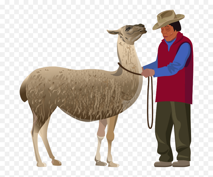 Llama Clipart - Peruvian Farmer Illustration Png,Llama Transparent