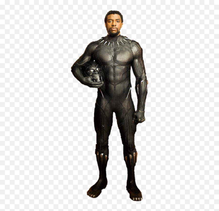 Black Panther Character Transparent - T Challa Black Panther Png,T'challa Png