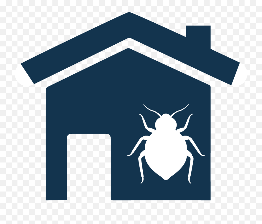 All It Takes Is One Bed Bug In Your Childu0027s Backpack - Icon Parasitism Png,Backpack Icon Png