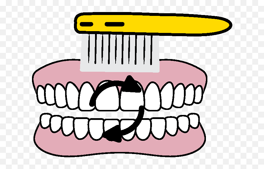 Tooth Brushing And Home Hygiene Smiles Grins Pediatric - Canine Tooth Png,Toothbrush Icon