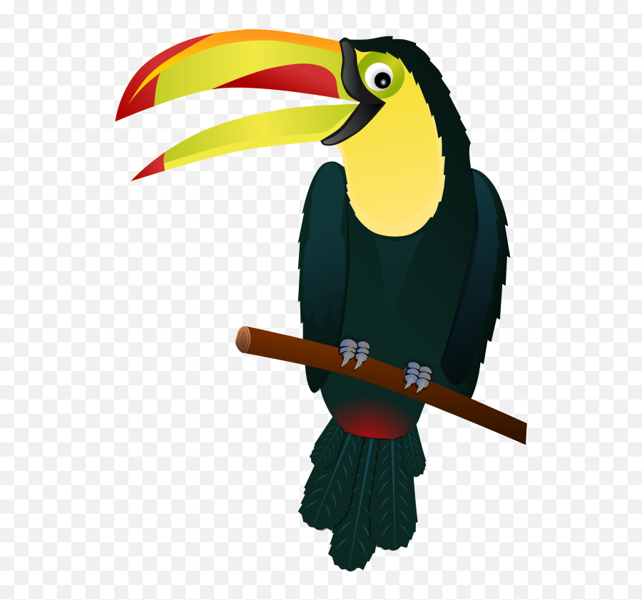 South America Clip Art - Clipartsco Tropical Bird Clipart Png,Flying Goffin Cockatoo Cartoon Clipart Icon