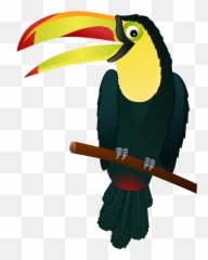 South America Clip Art - Clipartsco Tropical Bird png
