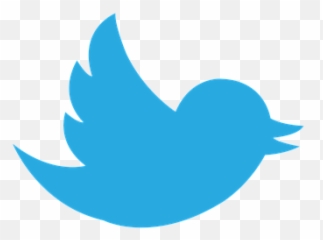 100 Free Twitter Logo U0026 Images - Social Media png